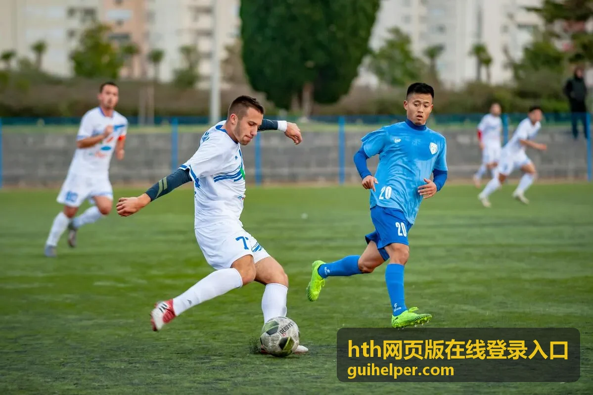 hth网页版在线登录入口电脑端登录界面示意